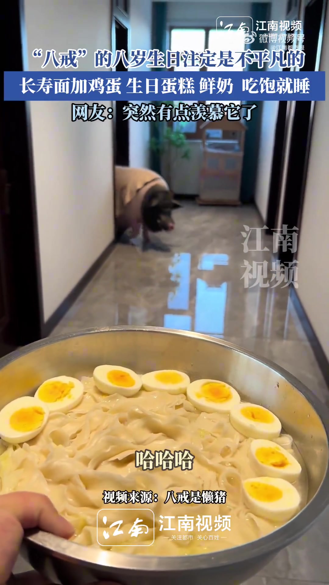 八戒的生日宴过于隆重了