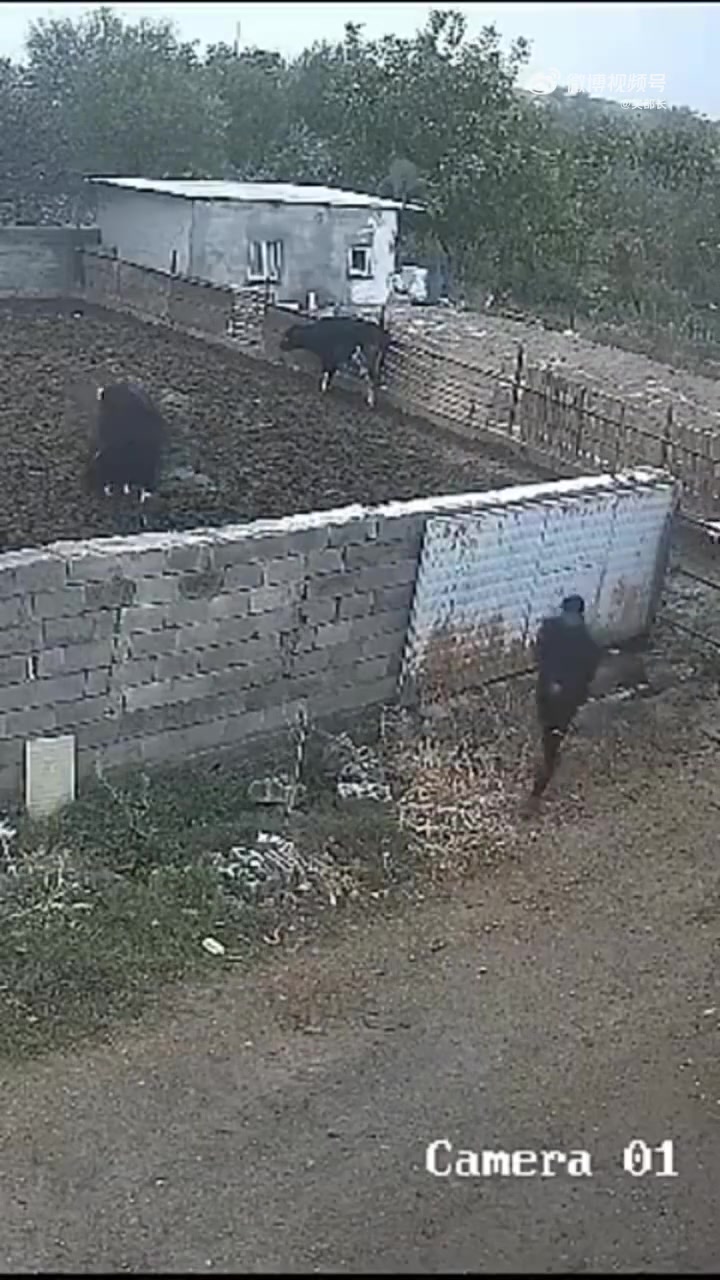 有没有人明确解释一下，他怎么做到的