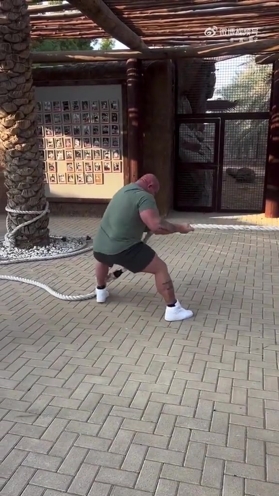 这就是两驱和四驱的区别