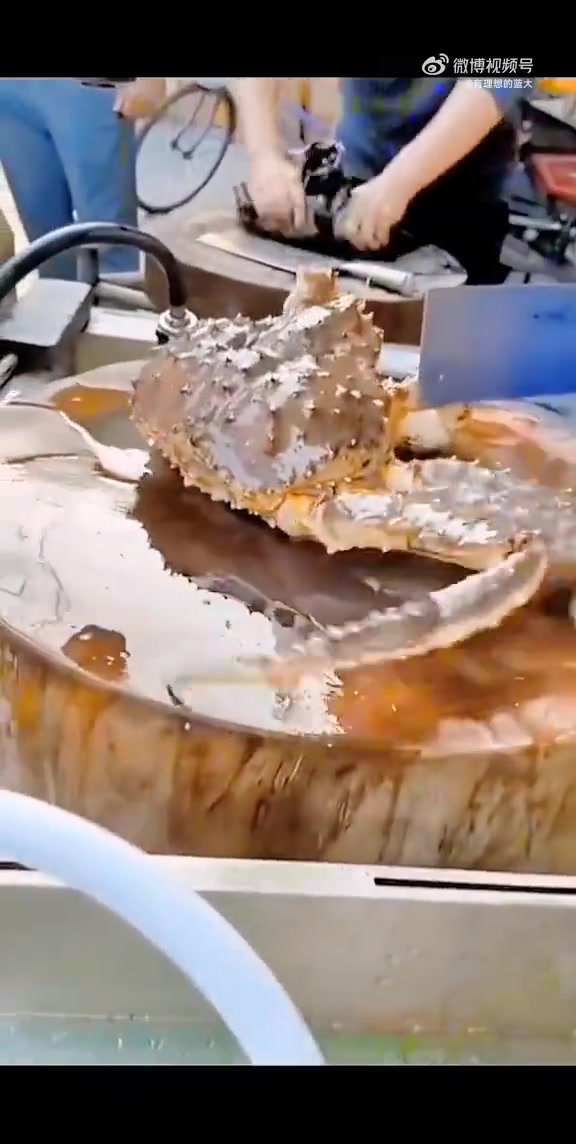 眼睁睁看着自己大卸八块