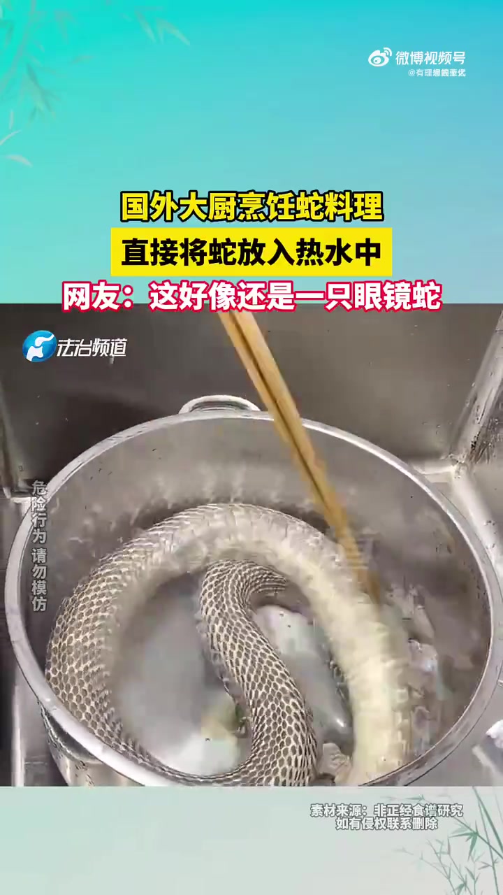 这蛇不窜起来咬他