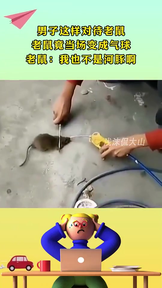 男子这样对待老鼠，老鼠竟当场变成气球，老鼠：我也不是河豚啊