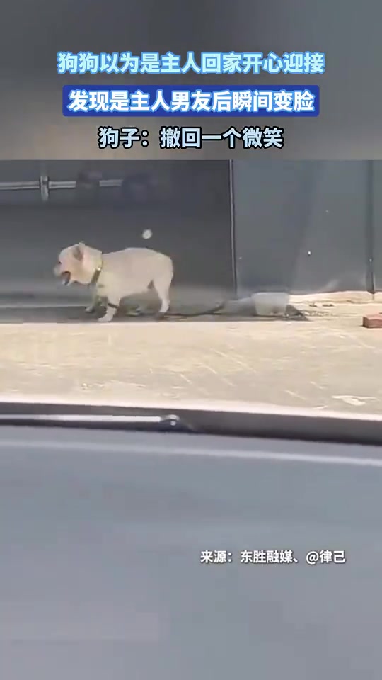 又来跟我抢女人你这个死男人