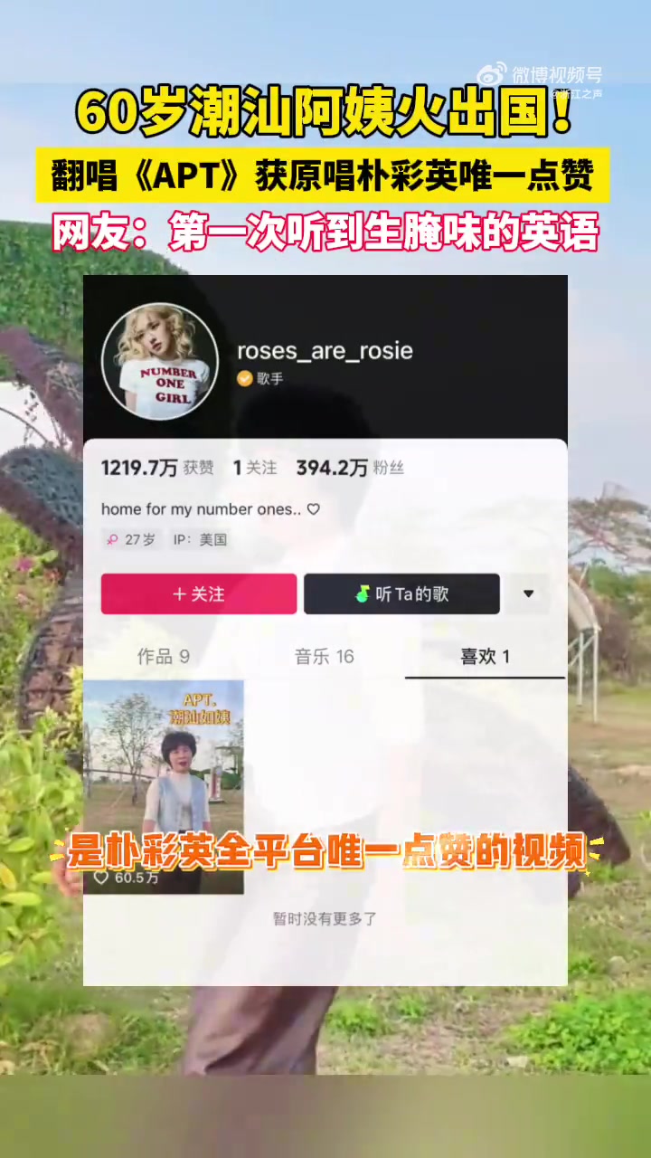潮汕阿姨翻唱获朴彩英唯一点赞