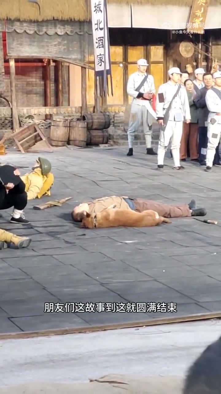 这狗狗演技这么好