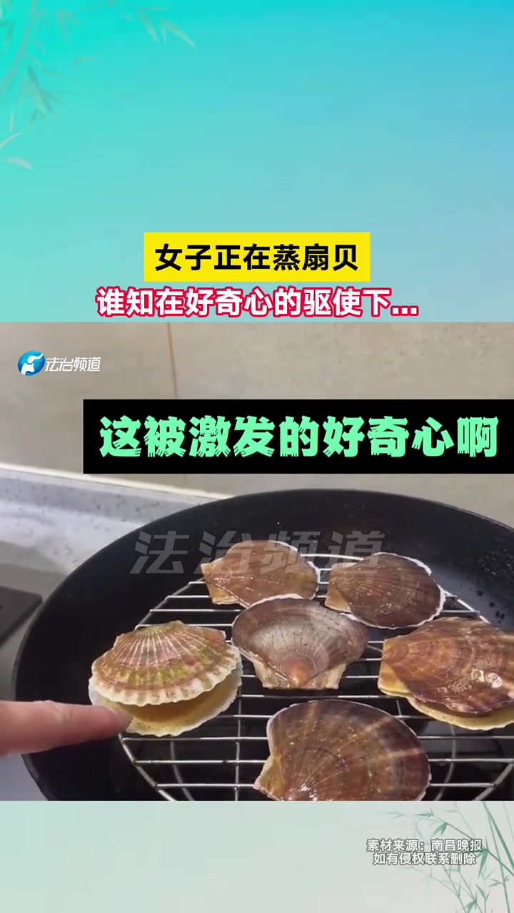 女子正在蒸扇贝，谁知在好奇心的驱使下.