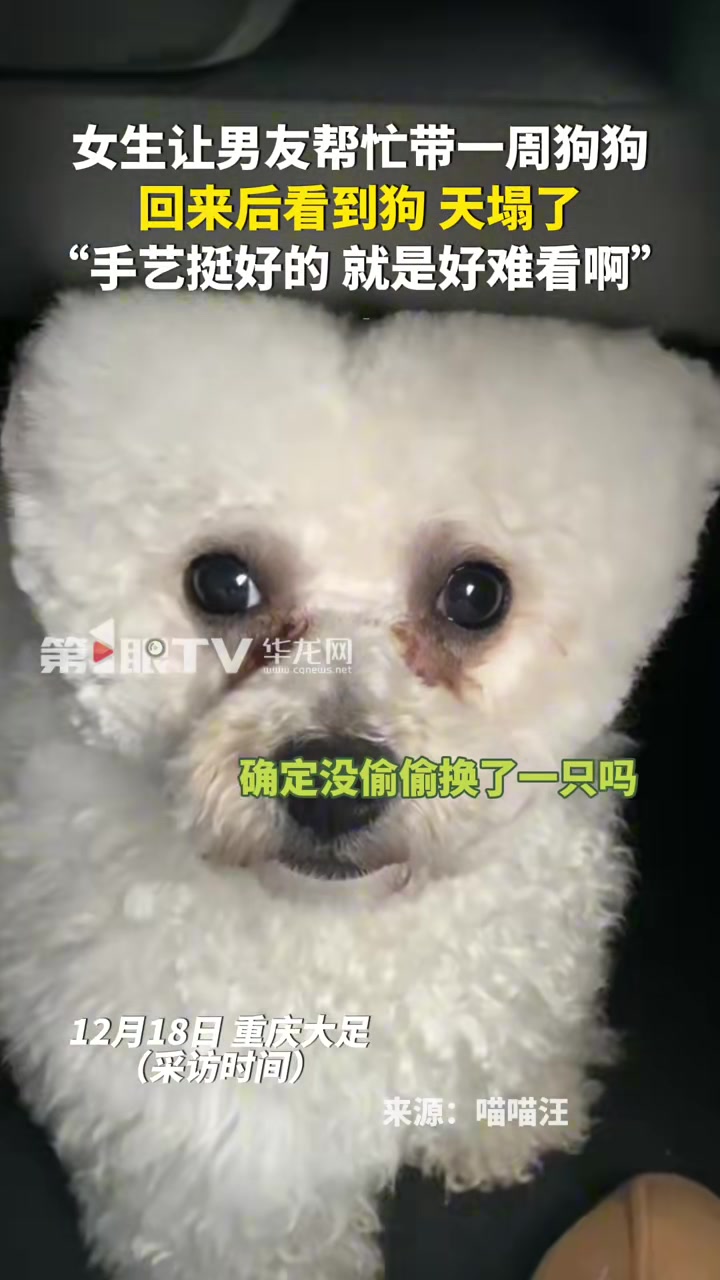 女生让男友帮忙带一周狗狗，回来后看到狗，天塌了