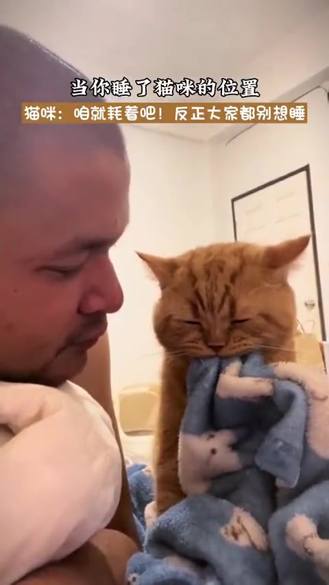 主人霸占小猫睡觉位，小猫嫌弃不愿亲近