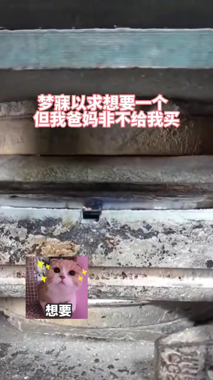 终于明白为何不给我买了