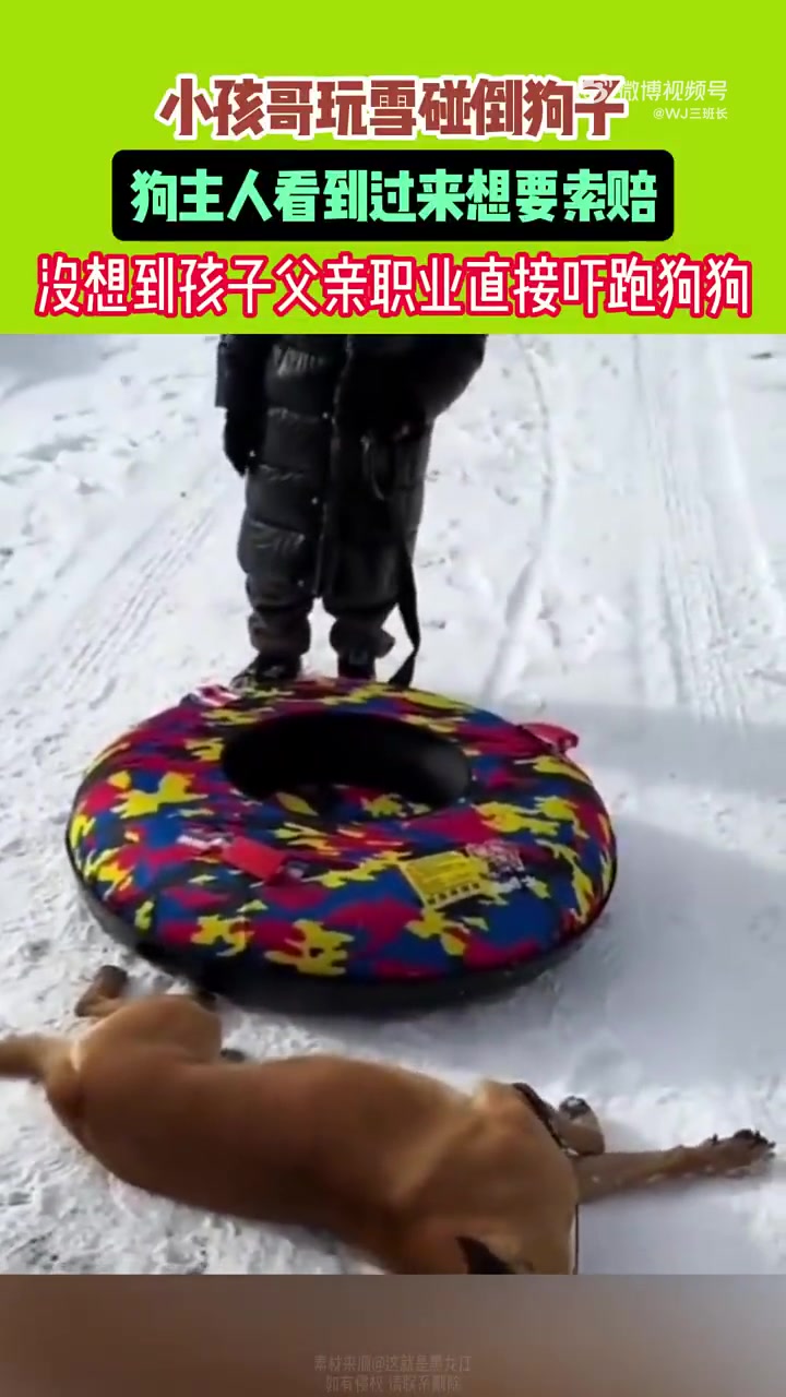 小孩哥玩雪碰倒狗子，挺搞笑的