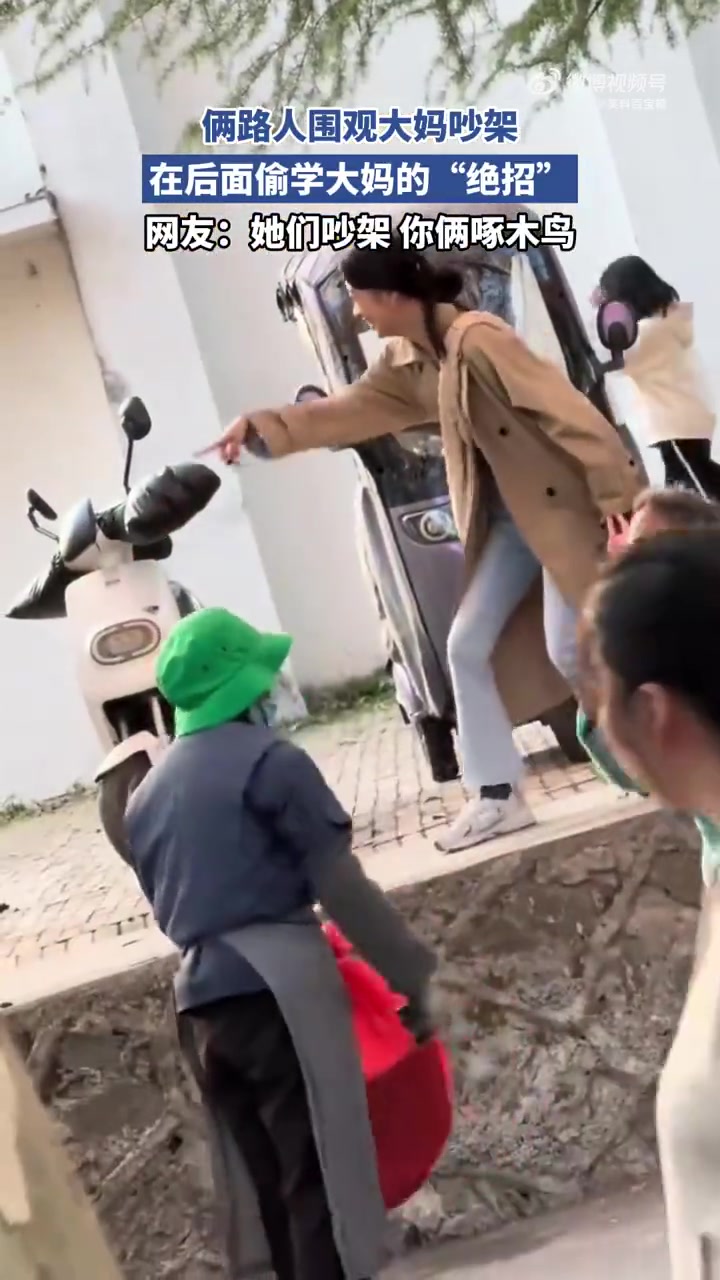 俩路人围观大妈吵架偷学“绝招”