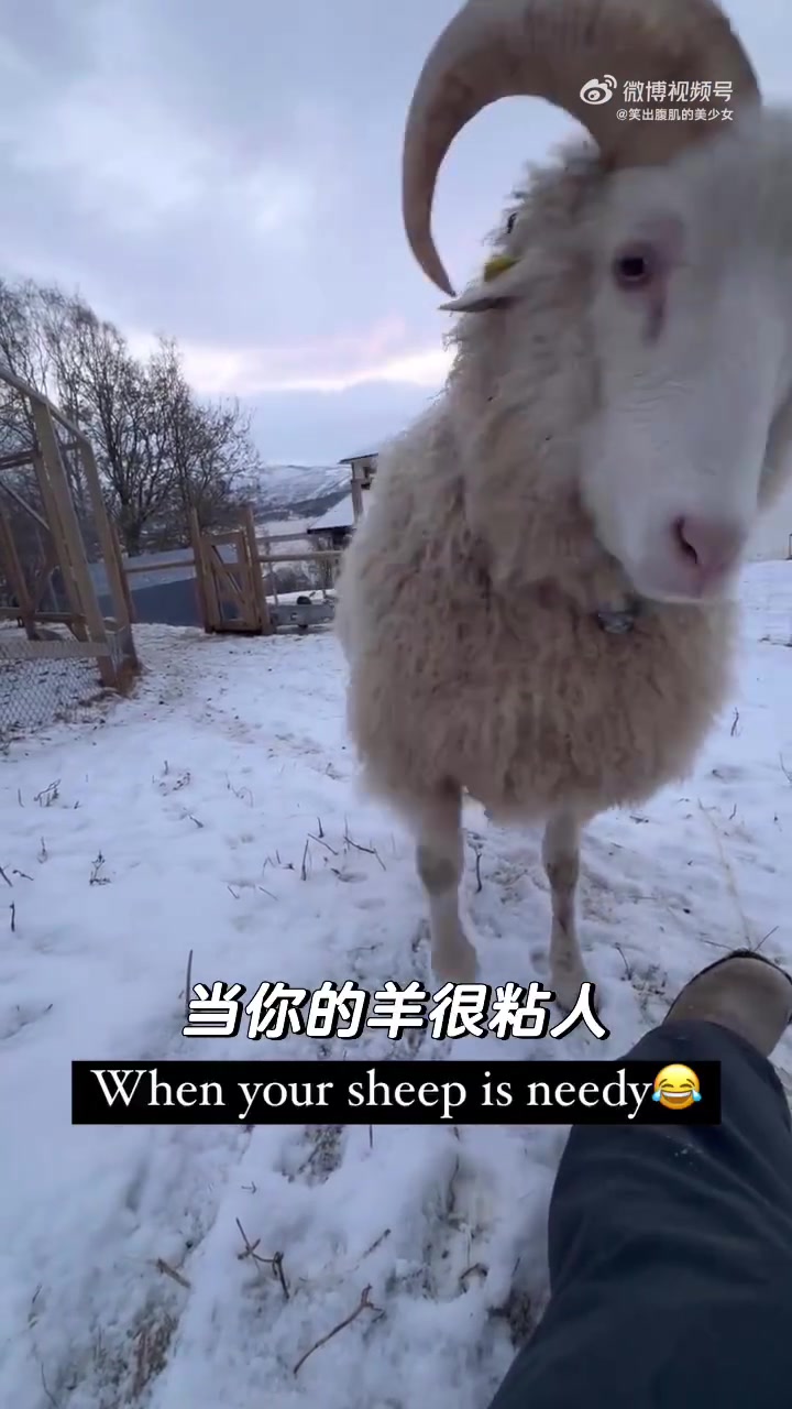 ：你摸我还是我给你来一下，人类手可真好用