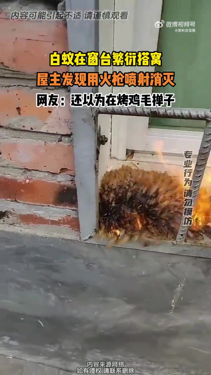 屋主用火枪消灭窗台繁衍白蚊，网友误以为烤鸡毛