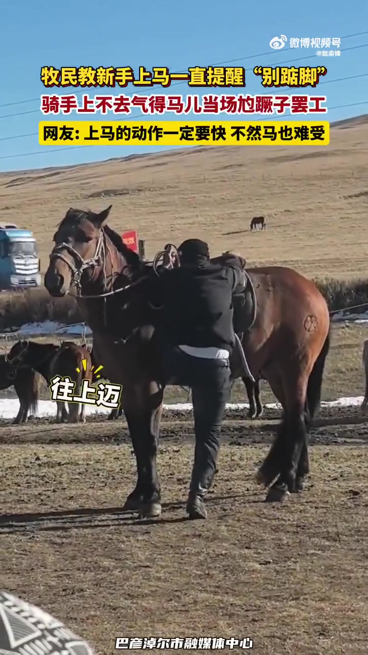 牧民教新手上马一直提醒“别踮脚”，骑手上不去