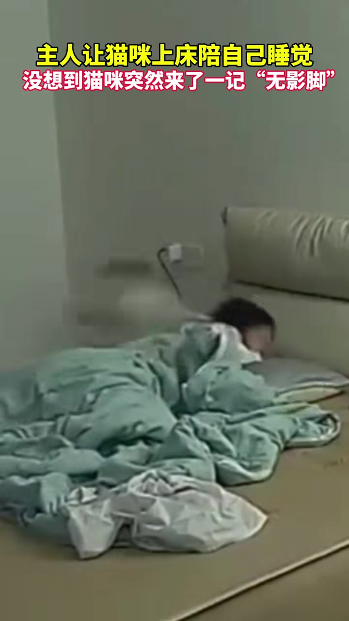 主人让猫咪上床陪自己睡觉，没想到猫咪突然来了一记“无影脚”