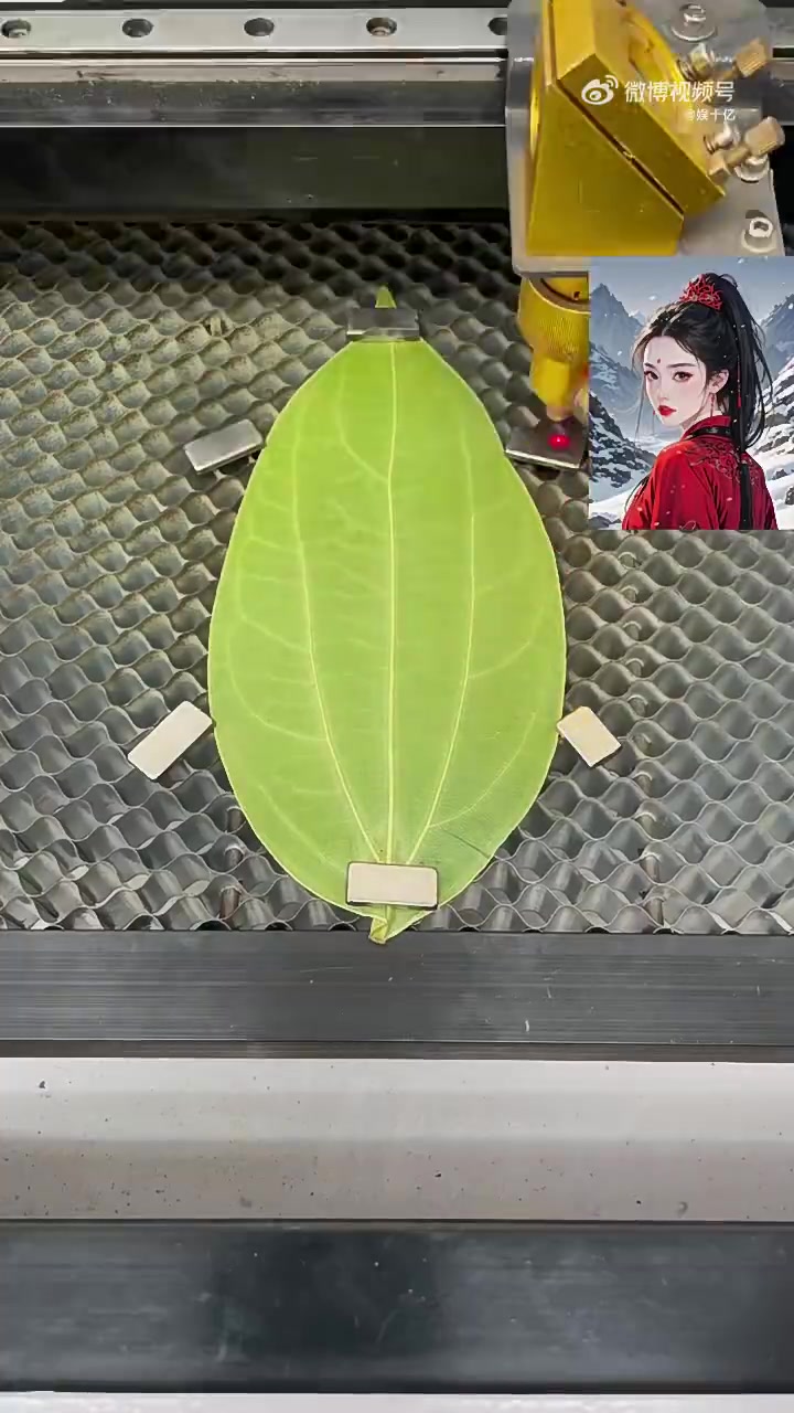 一片树叶画的制作方法原来是这样