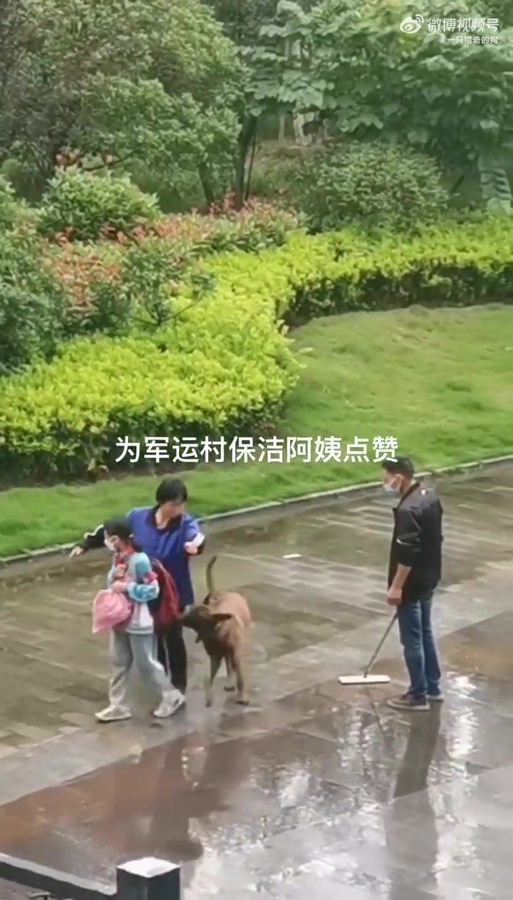 小女孩在上学途中被一条没有牵绳的大狗尾随，保洁阿姨挺身而出