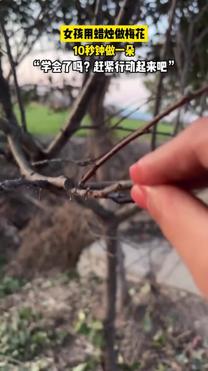 女孩十秒一朵用蜡烛做梅花，你学会了吗