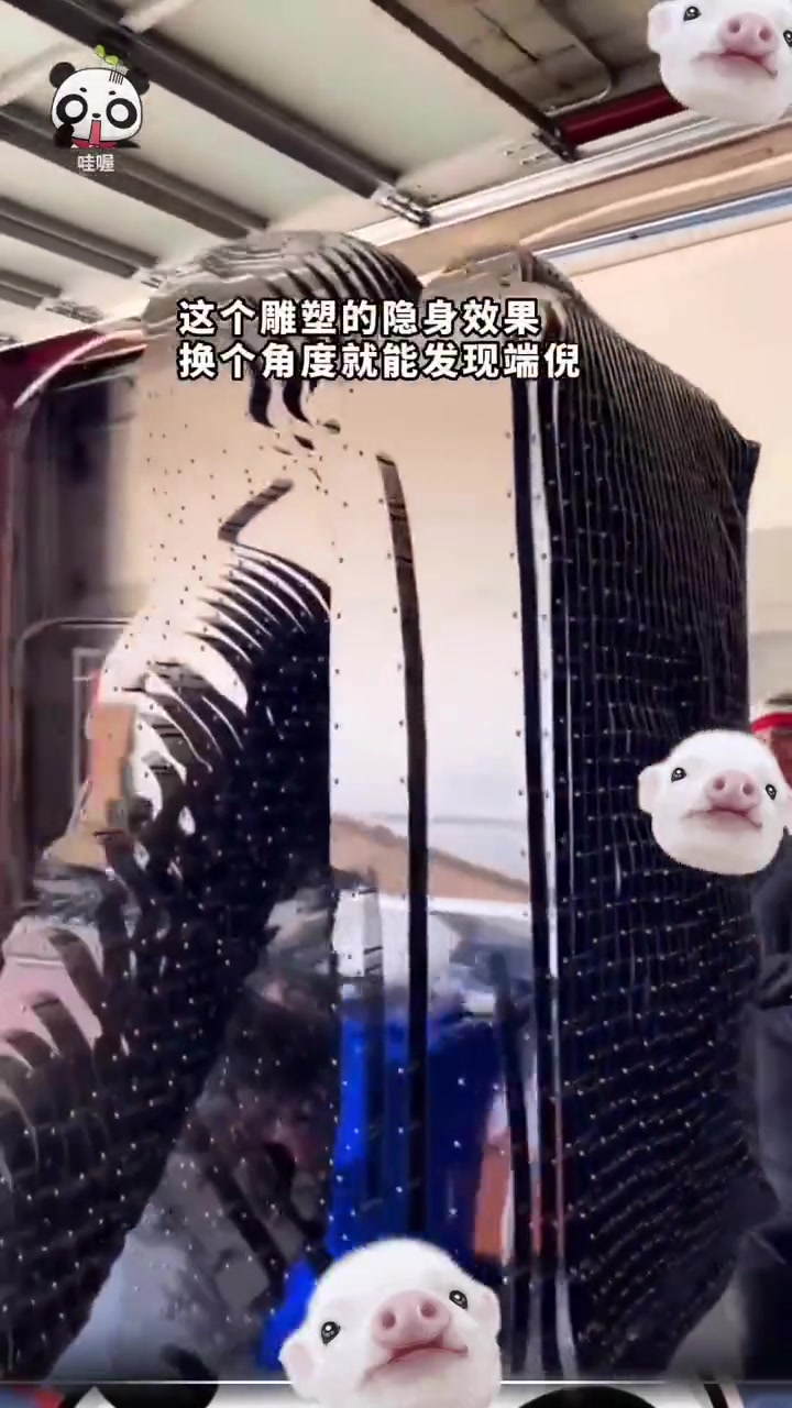 隐形雕塑技艺究竟如何