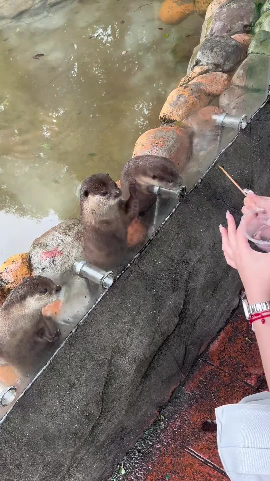 我现在理解领导面前那些马屁精为什么过的好了