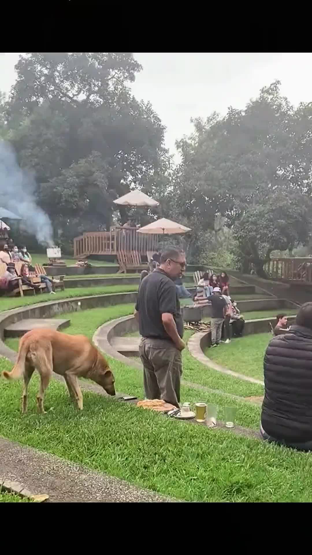 狗子：终于可以开荤开荤了！