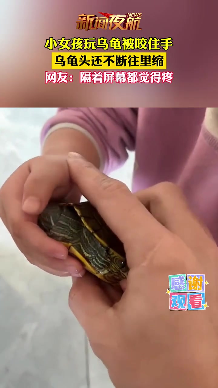 小女孩玩乌龟被咬住手，乌龟头还不断往里缩！隔着屏幕都觉得疼
