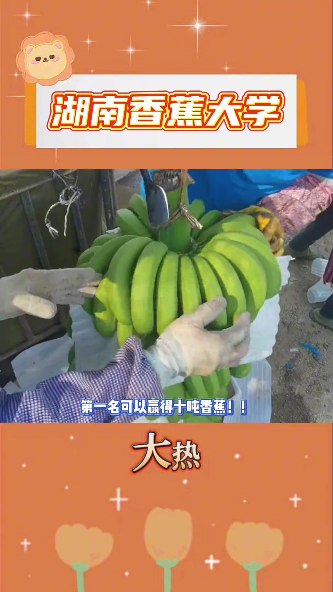 恭喜湖南香蕉大学！