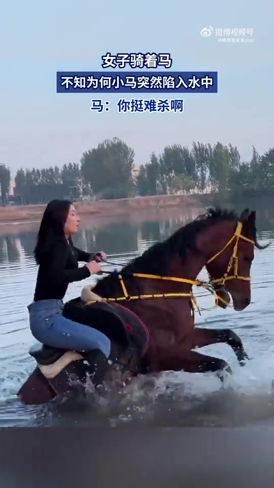 女子骑着马，不知为何小马突然陷入水中