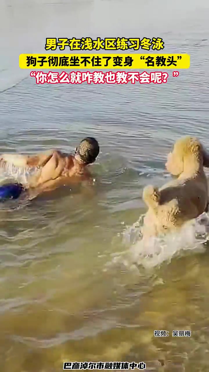 男子在浅水区练习冬泳，狗子彻底坐不住了变身“名教头”