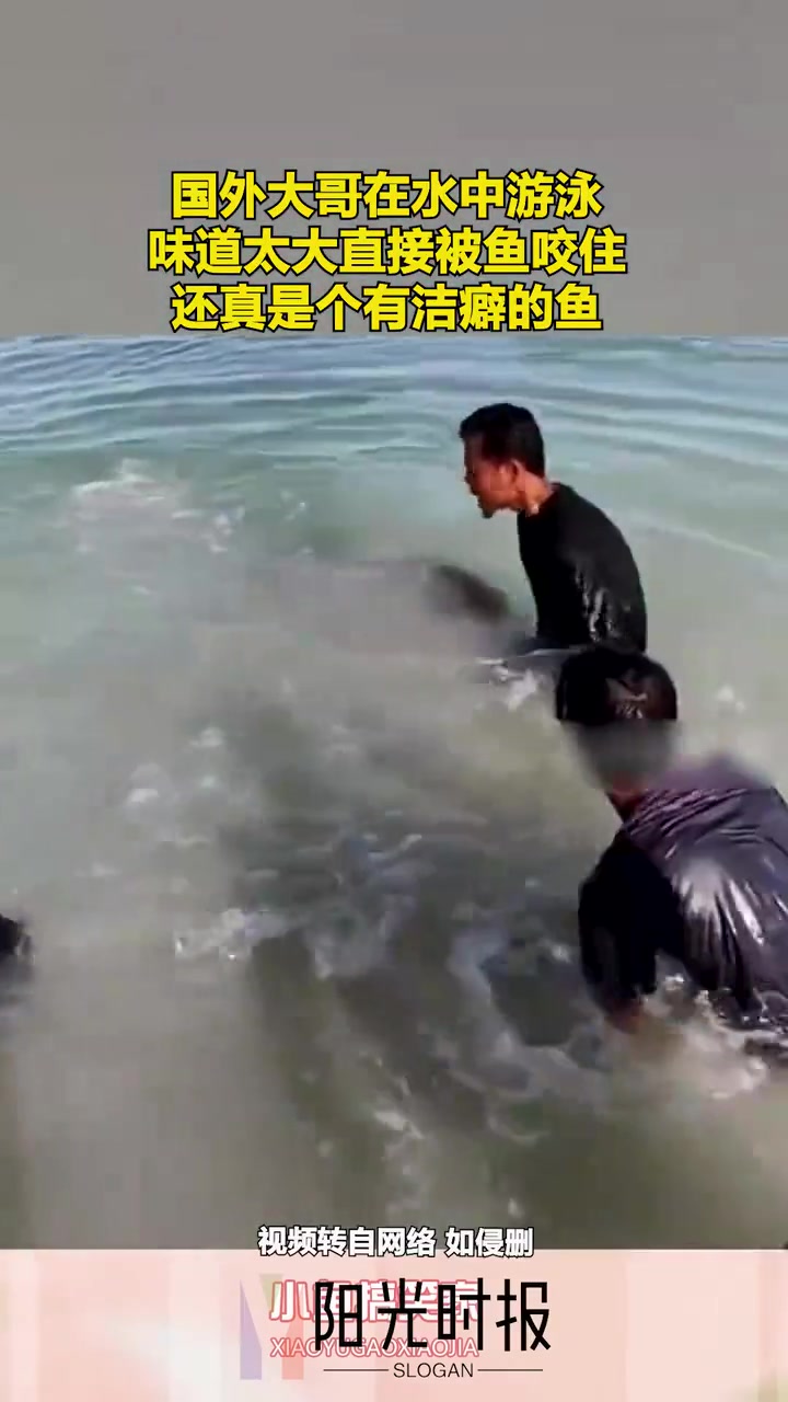 国外大哥在水中游泳，味道太大直接被鱼咬住！