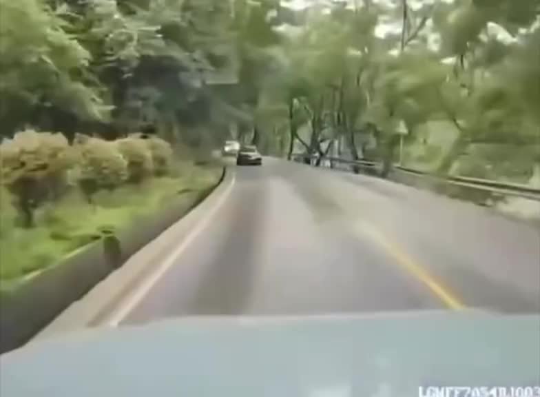 四辆车，两对儿大聪明！