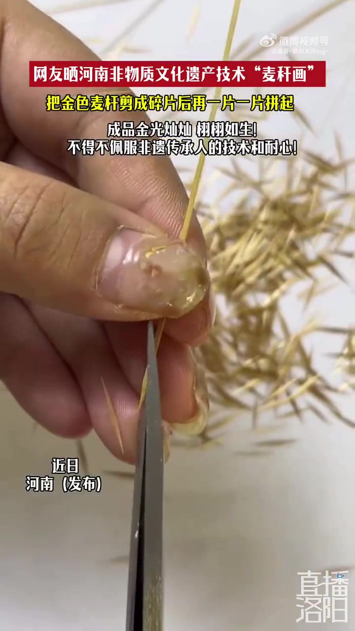 河南非物质文化遗产技术“麦秆画”，成品金光灿灿，栩栩如生