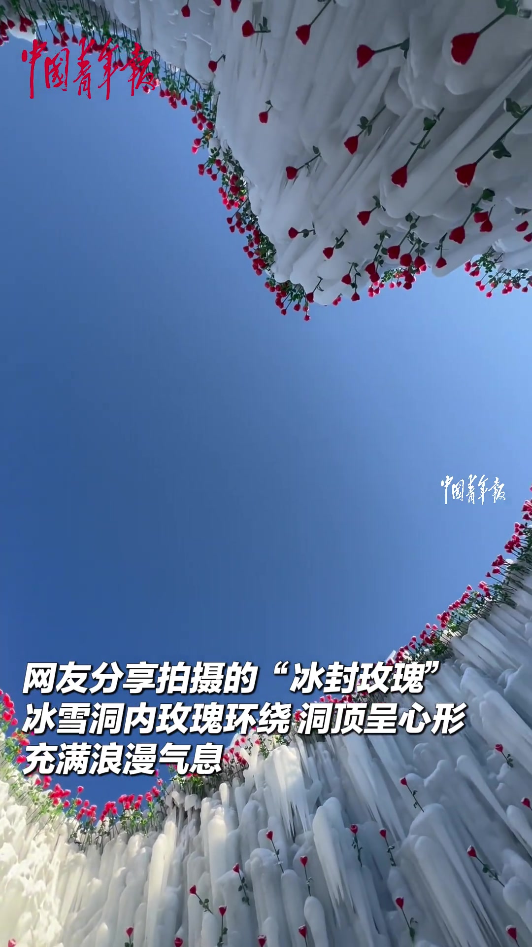 专属于冰雪世界的浪漫！长白山“冰封玫瑰”盛放