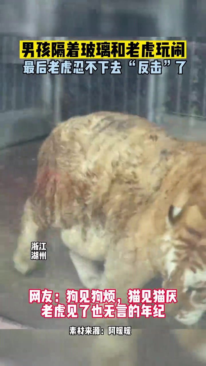 已经到了狗见狗烦，猫见猫厌，老虎见了也无言的年纪