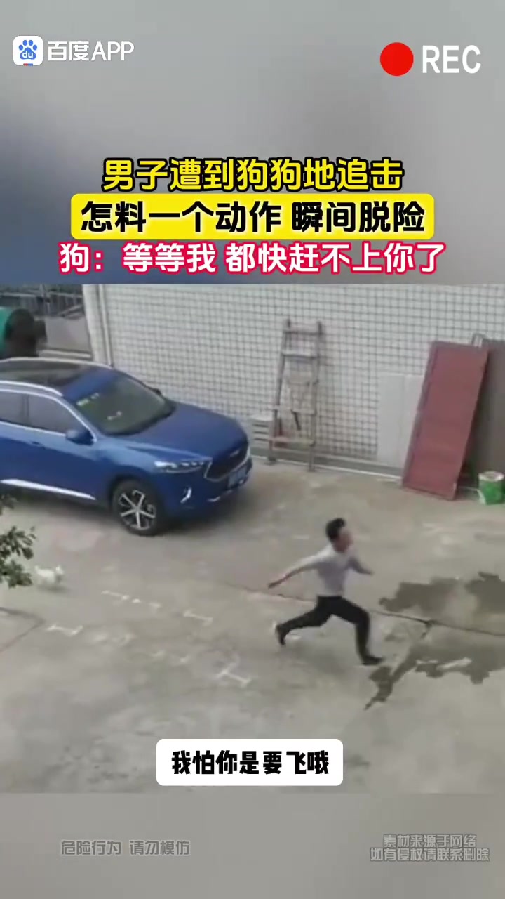 弹跳这么好！就这个小不点激发成这样