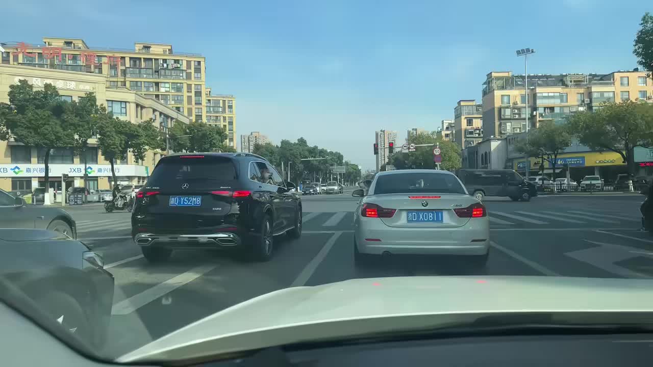 柴犬：你车垃圾，边牧：你放屁！
