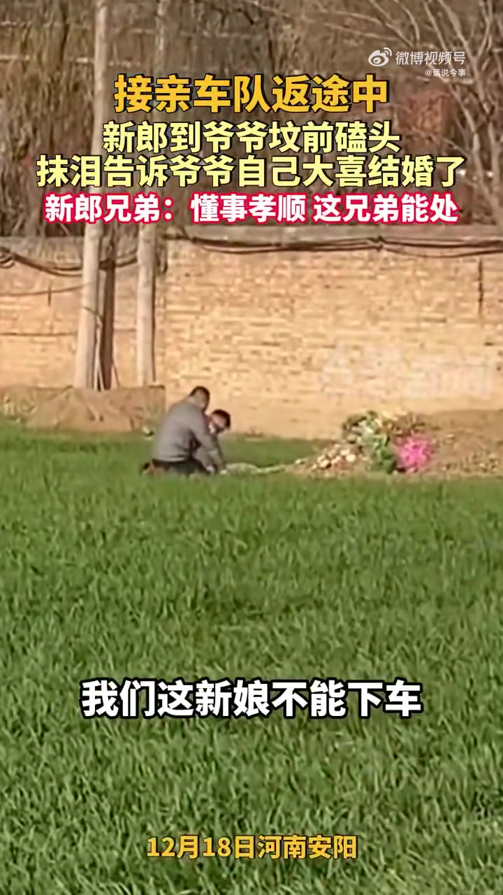 接亲车队返途中，新郎到爷爷坟前磕头，抹泪告诉爷爷自己大喜结婚