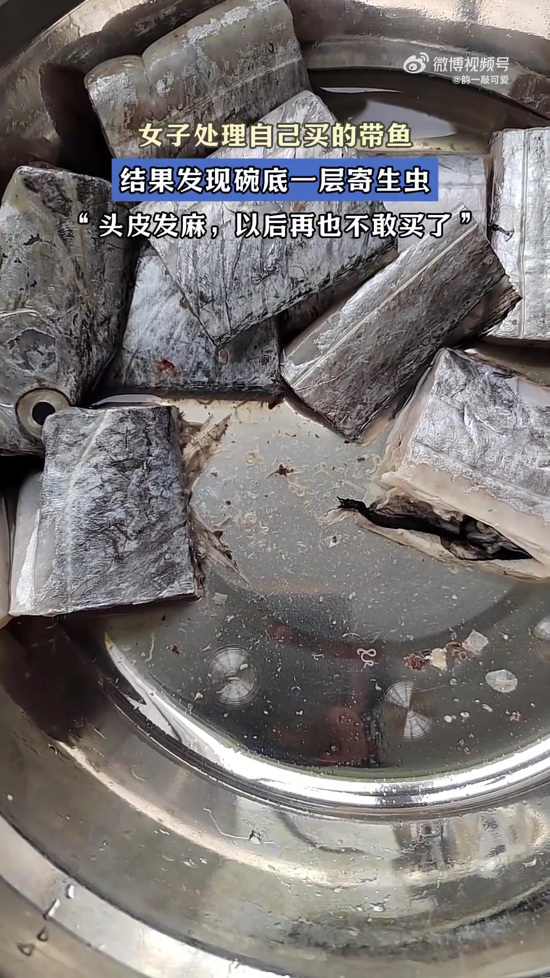 女子处理自己买的带鱼，结果发现碗底一层寄生虫“头皮发麻
