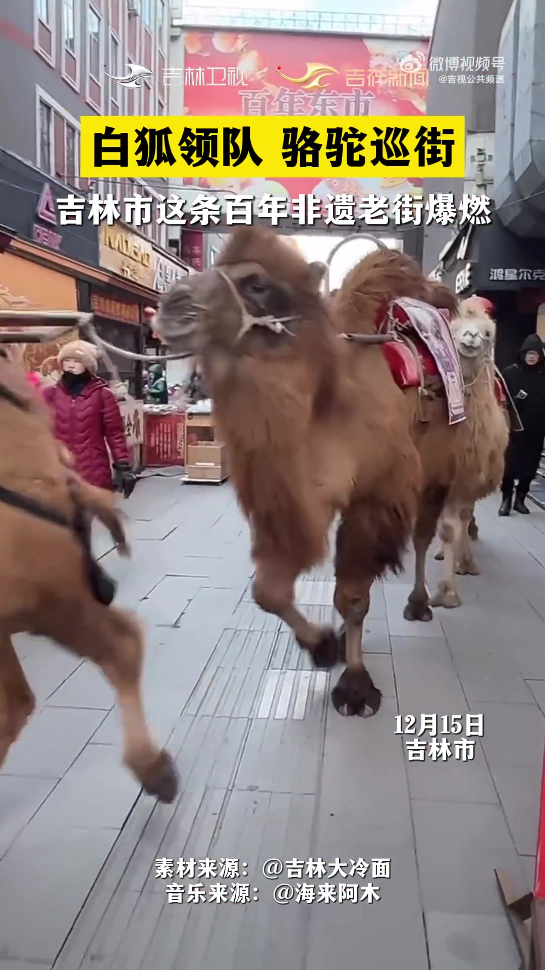 白狐领队,骆驼巡街，吉林市这条百年非遗老街爆燃