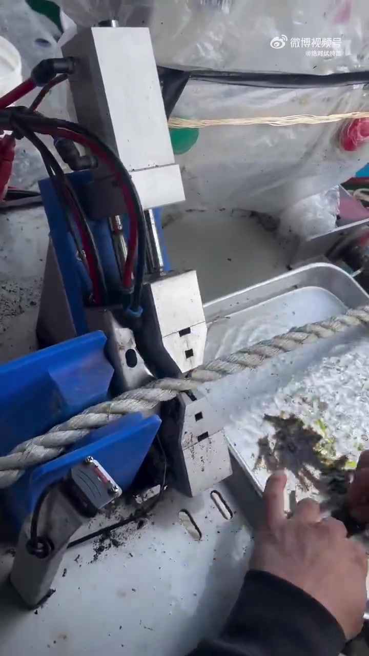 海产养殖，你知道这是做什么