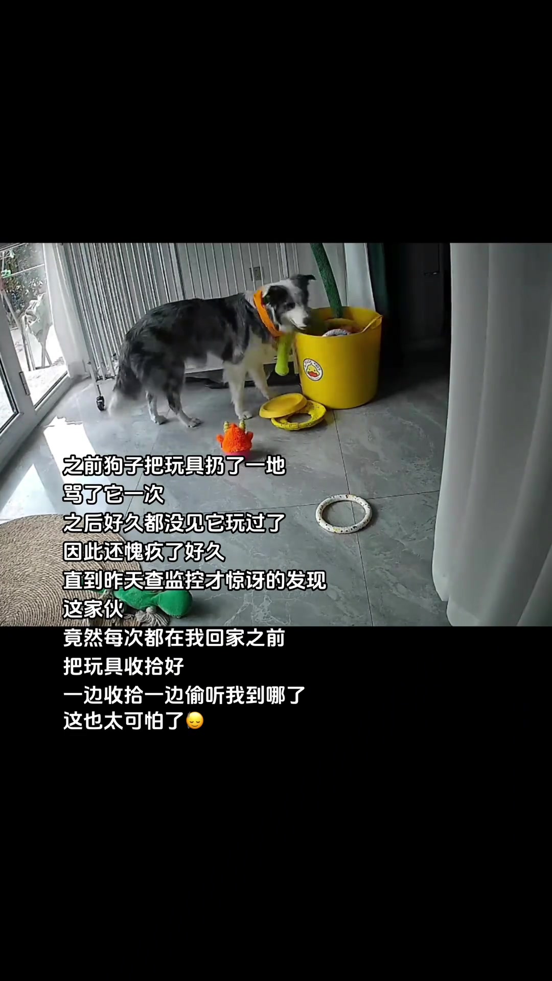 下次不会把我房产证卖了吧