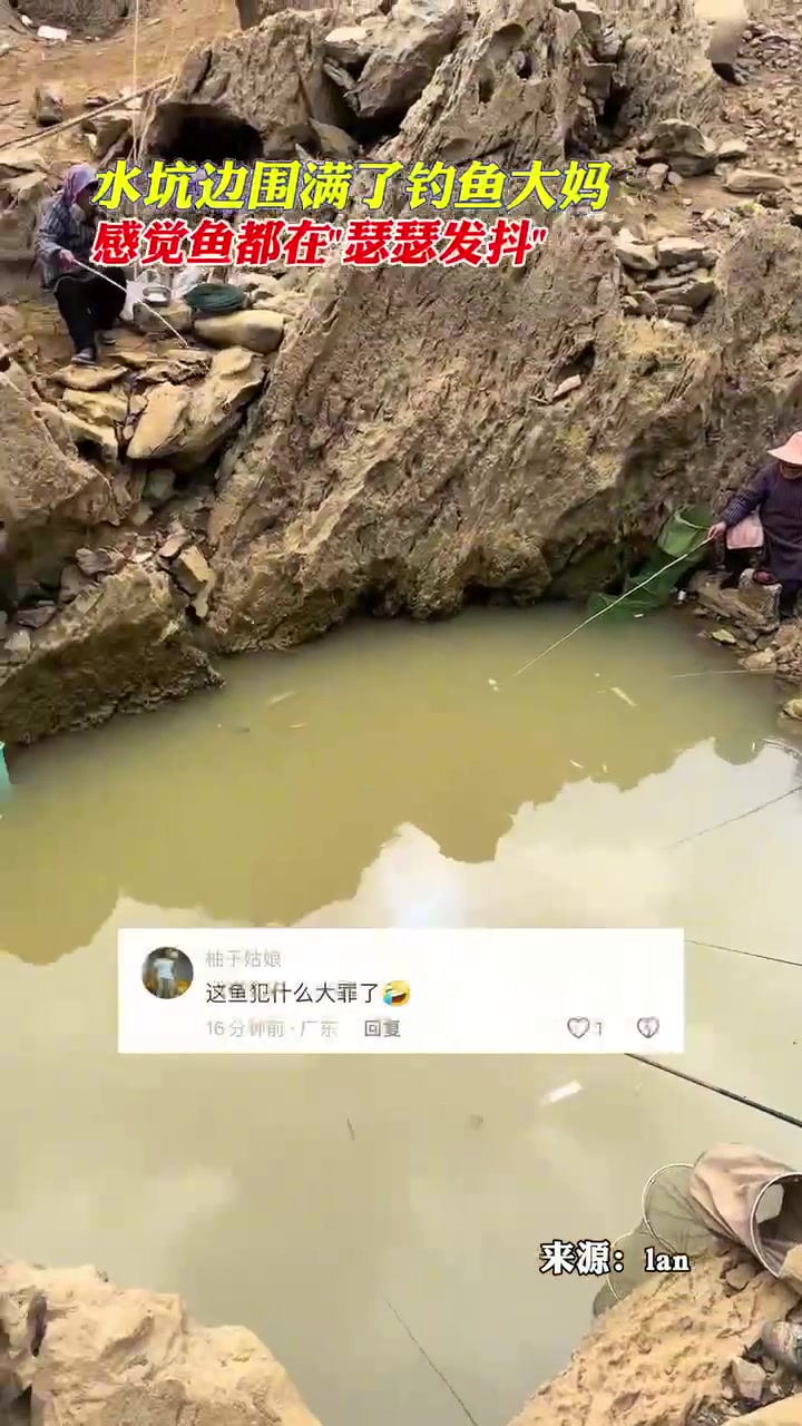 水坑边围满了钓鱼大妈，感觉鱼都在“瑟瑟发抖”