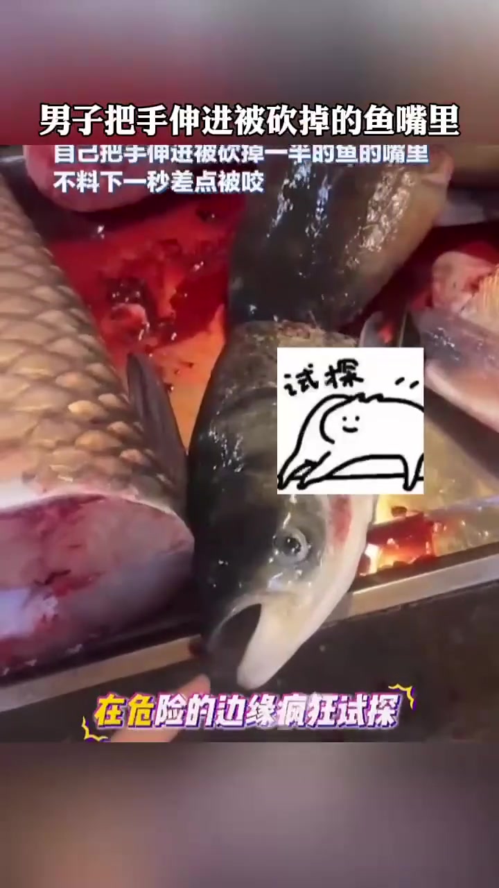 男子把手伸进被砍掉的鱼嘴里不料下一秒差点被咬！