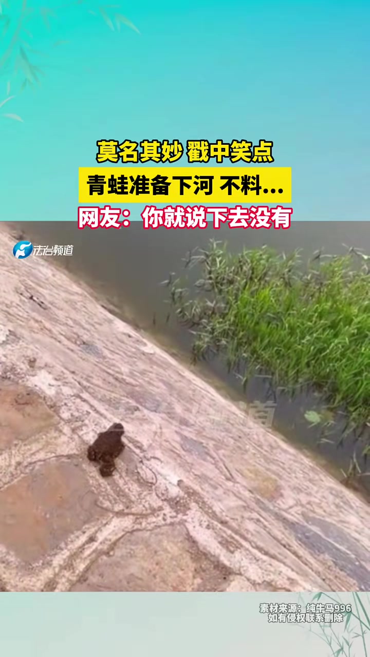 还是滚下去快点这跟头翻得