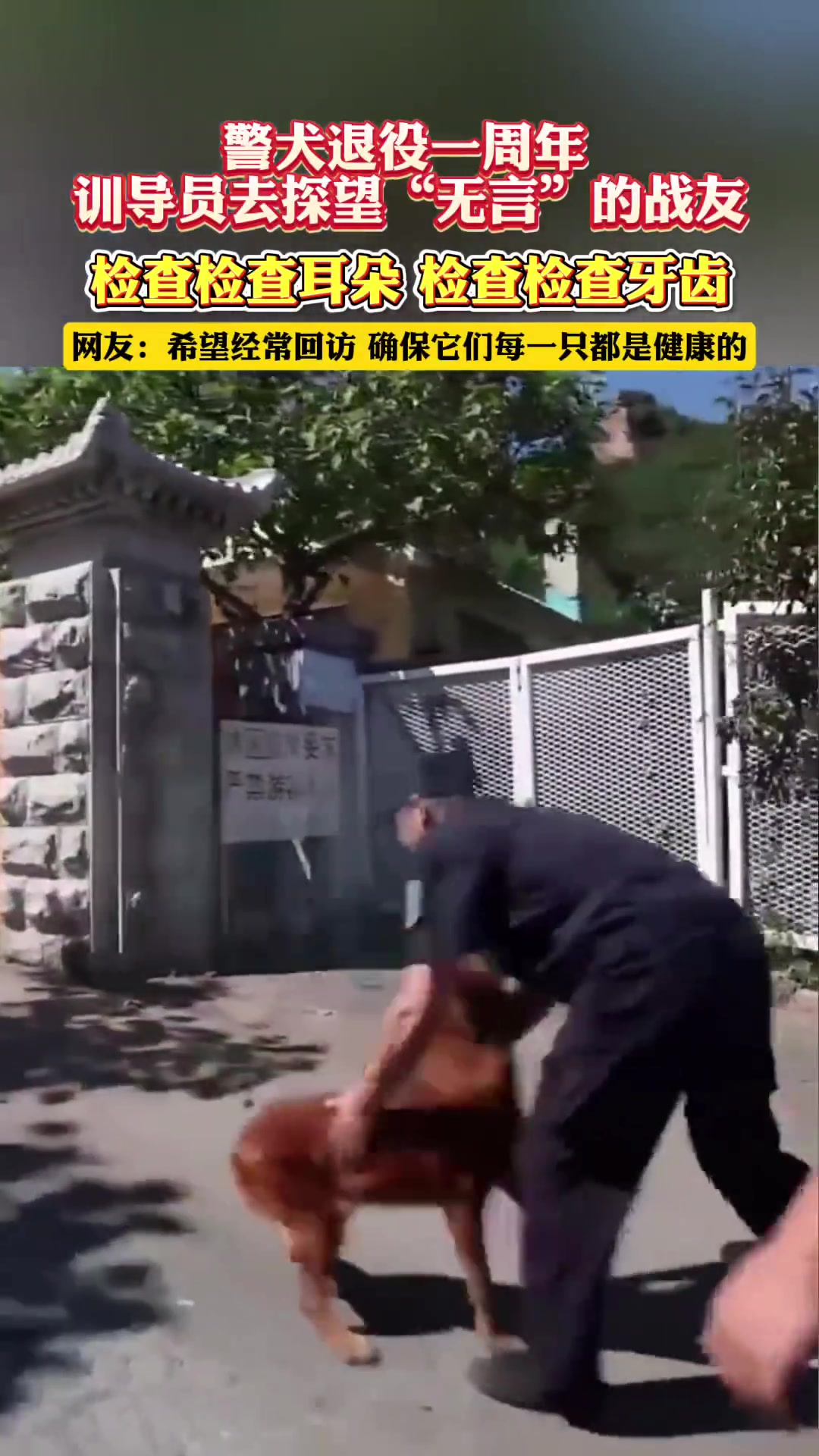 警犬退役一周年，训导员去探望“无言”的战友！