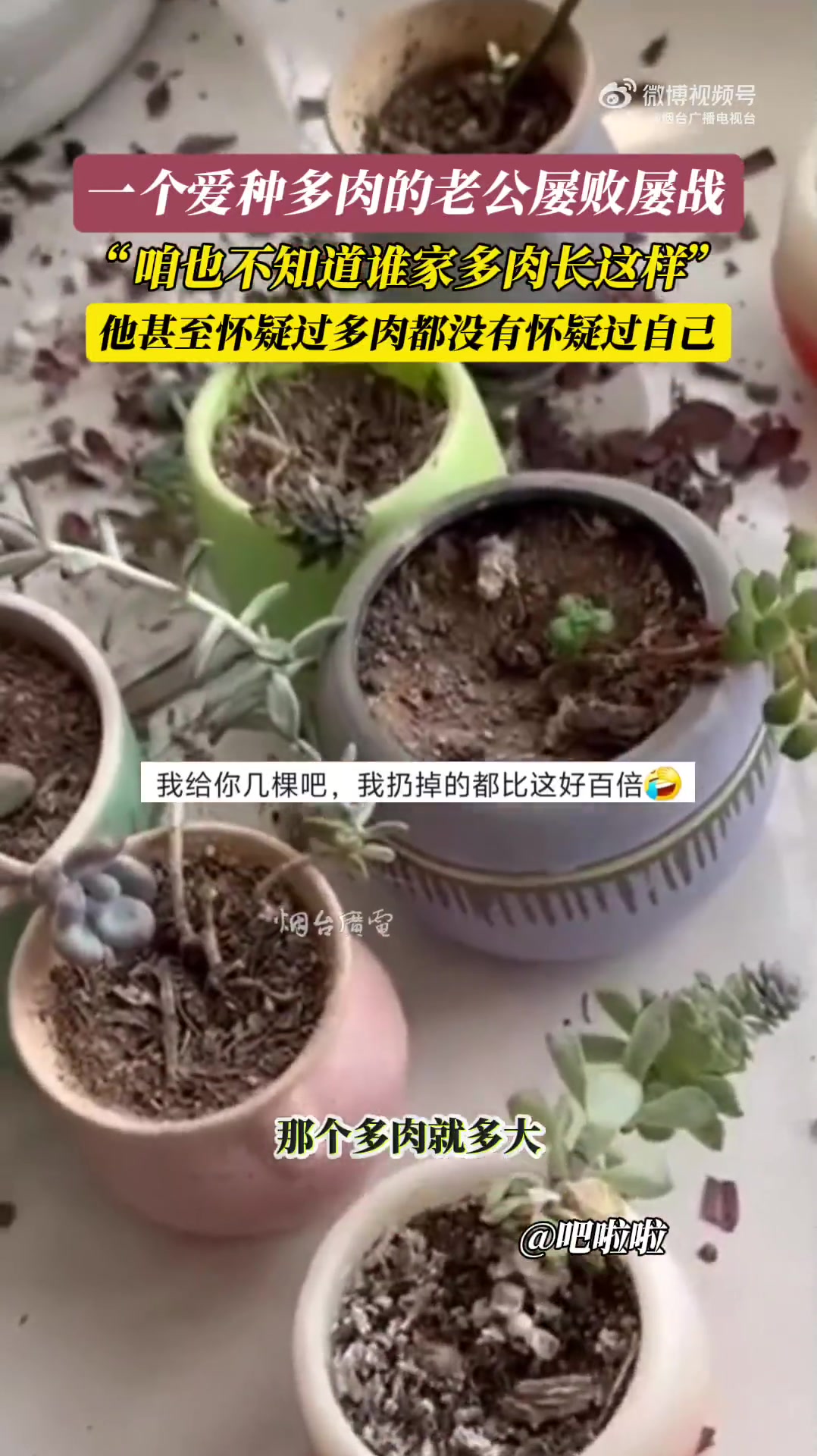 一个爱种多肉的老公屡败屡战，咱也不知道谁家多肉长这样