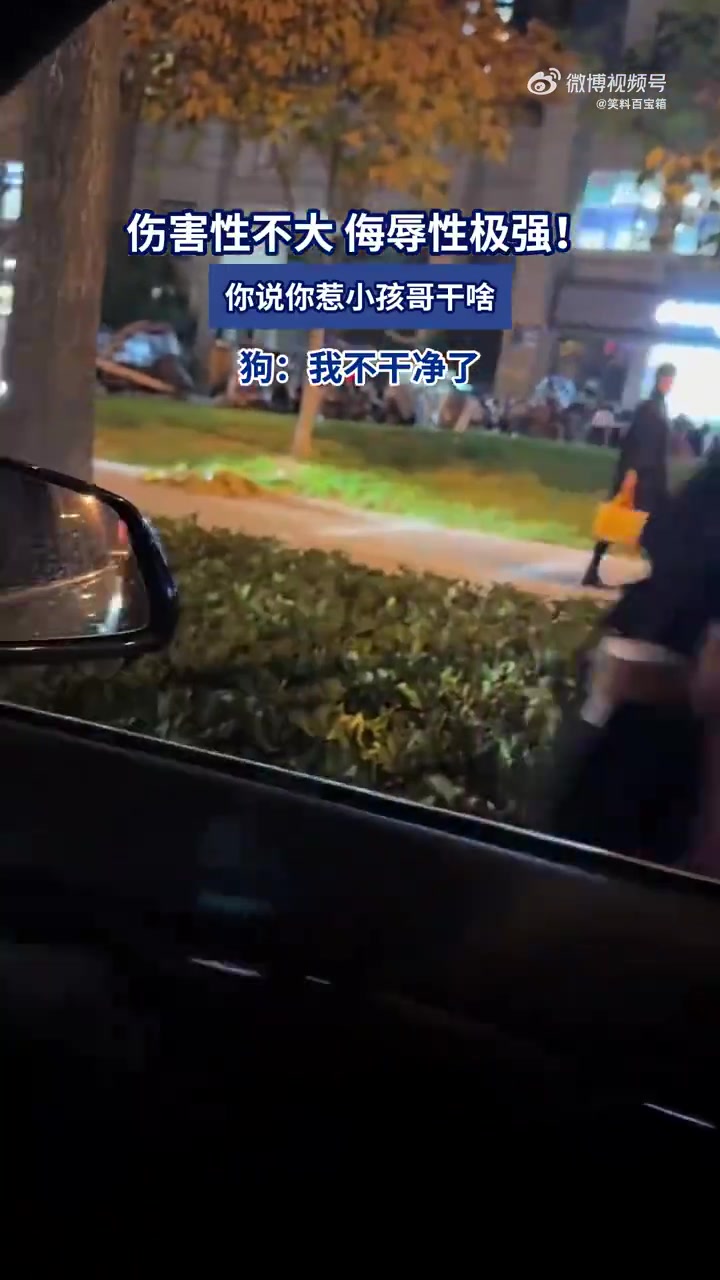伤害性不大，侮辱性极强！你说你惹小孩哥干啥