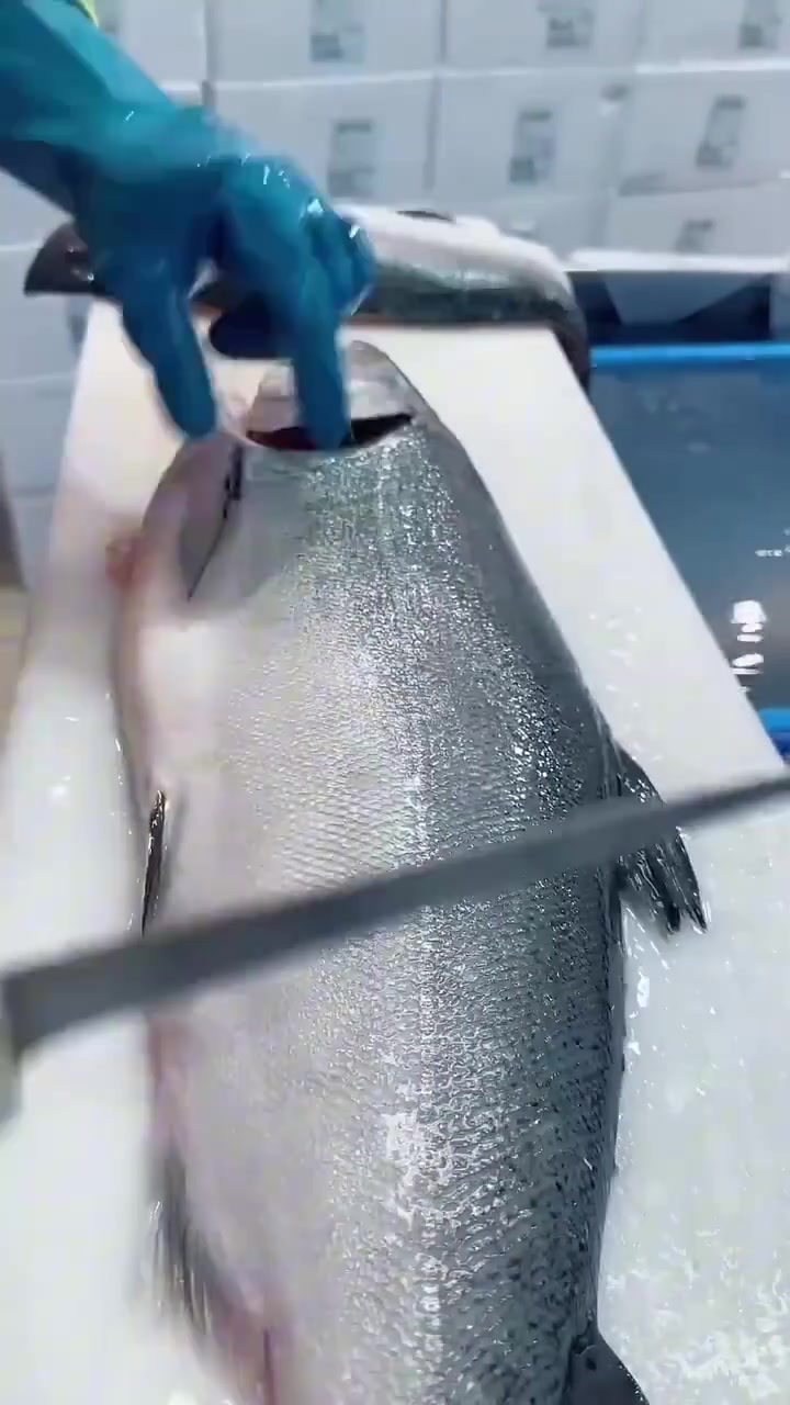 三文鱼切割法，看看这技术可还行