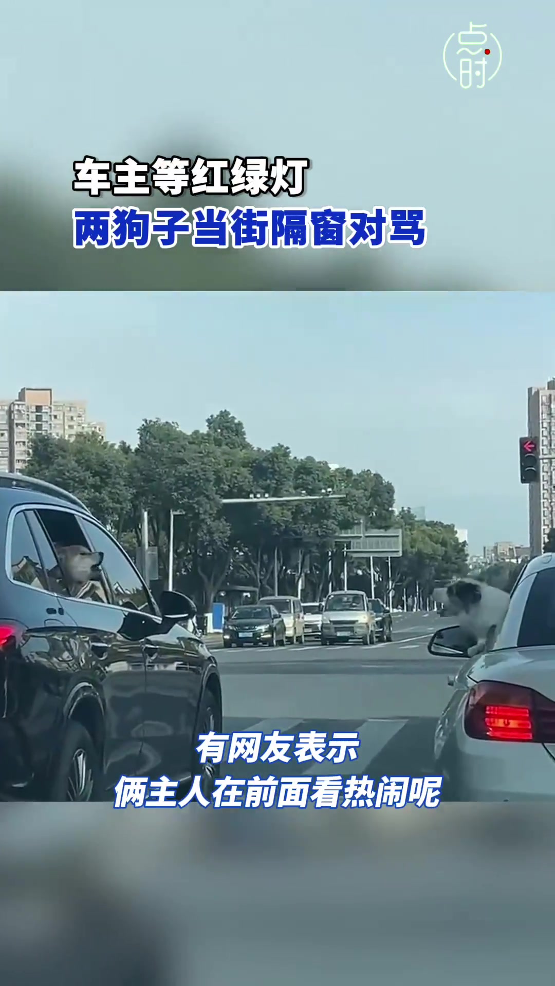 两狗子当街隔窗对骂