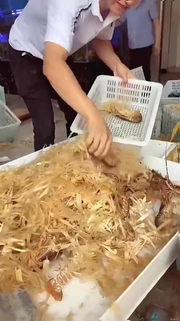 龙虾为啥要这样装箱